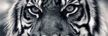 M_Ritch2's profile banner image