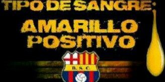 mapipo's profile banner image