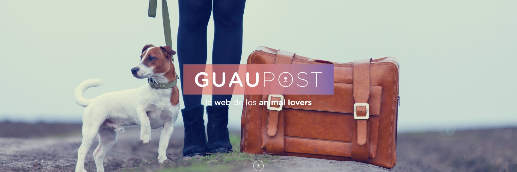GuauPost's profile banner image