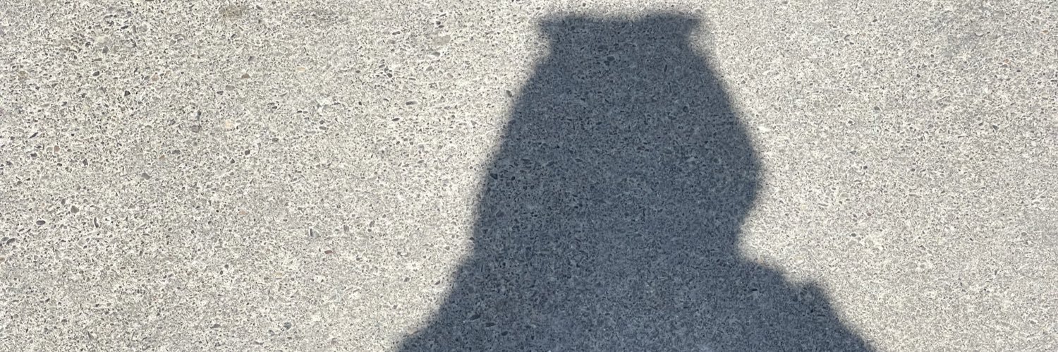 liliofthevaley8's profile banner image
