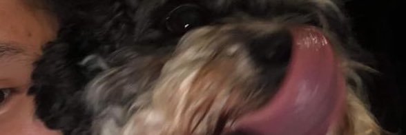 Wynpmnt_'s profile banner image