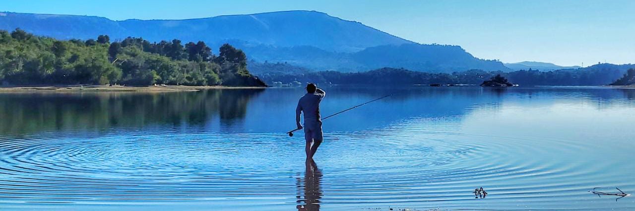 Federico Piñero MD MSc PhD banner