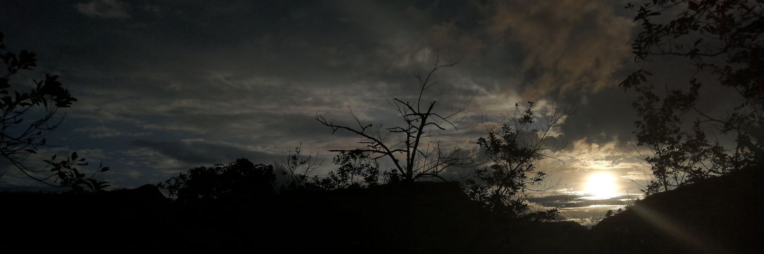 Koopaland's profile banner image