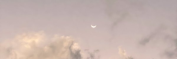 PaulineFaieff Profile Banner