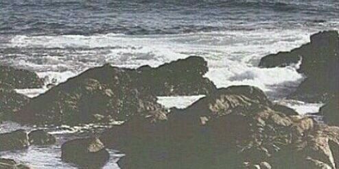 desertedslimani's profile banner image