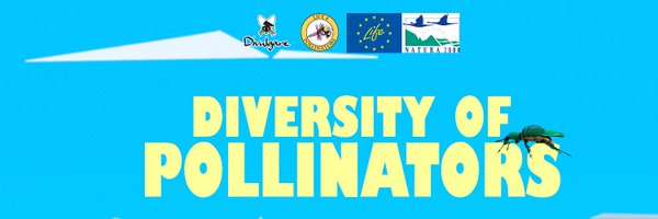 divulgare_adm Profile Banner