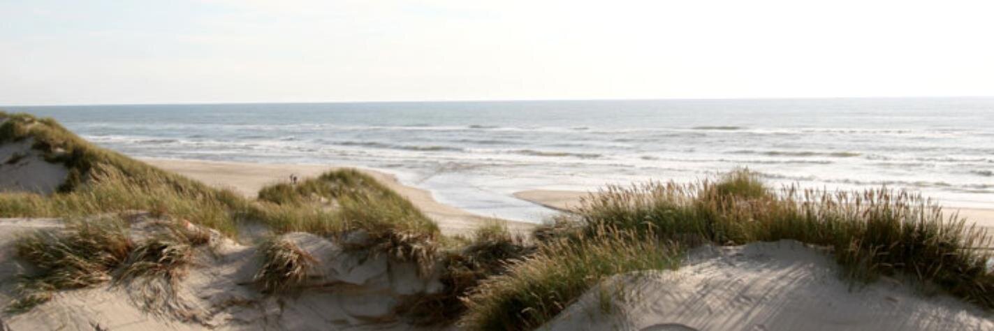 Ole Ringgaard banner