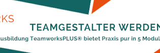 teamworksgmbh's profile banner image