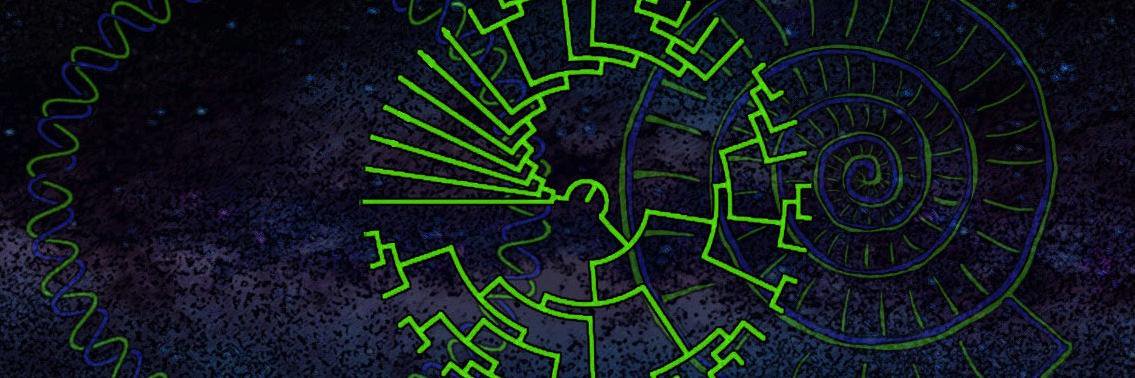 Daniel Tamarit banner