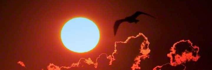SehSyil's profile banner image