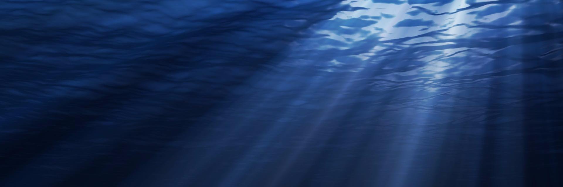 แพท banner