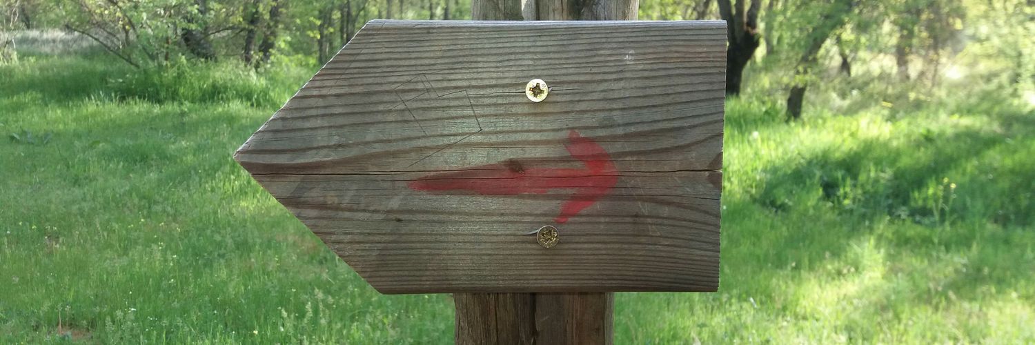 edukoteka 🌍🔻🇵🇸 banner