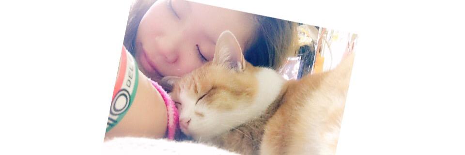 naganoyuko's profile banner image