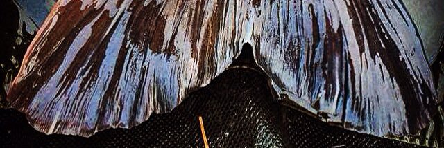 LeeDimmer's profile banner image