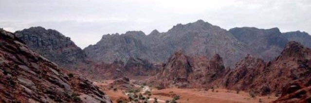 د. ماجد بن علي المطلق banner