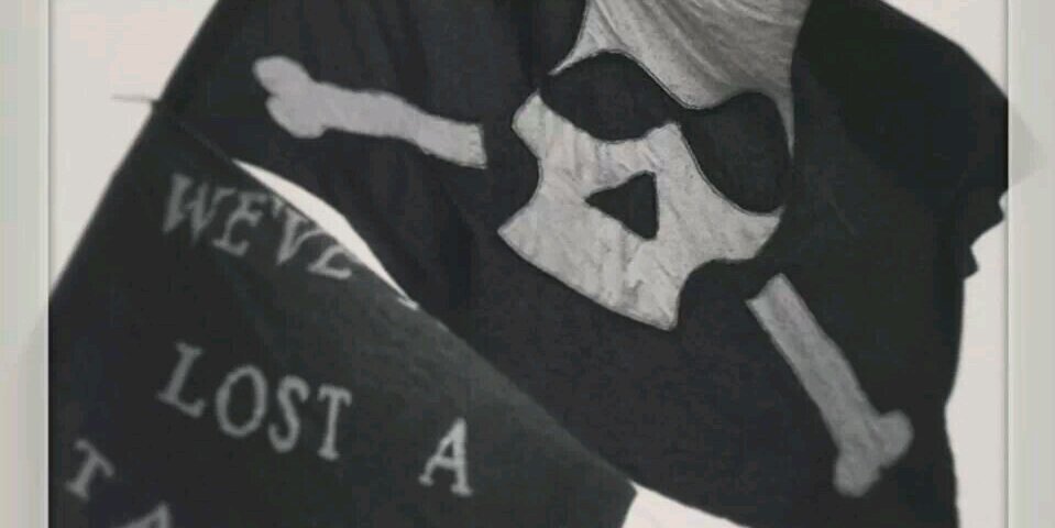 Mark Alexander banner