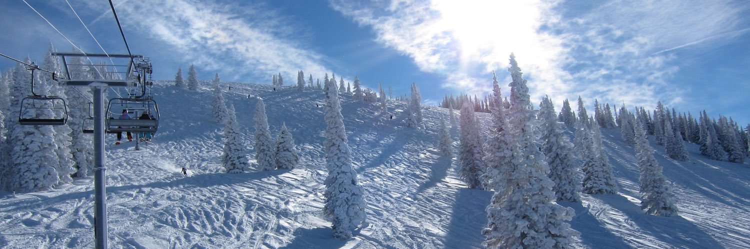 Michelle Potts banner