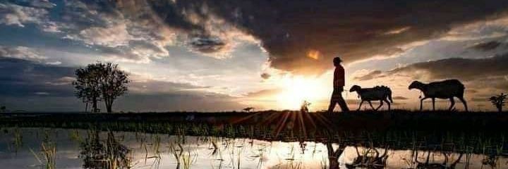 fradhie's profile banner image