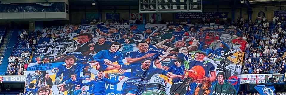 Blueshed banner