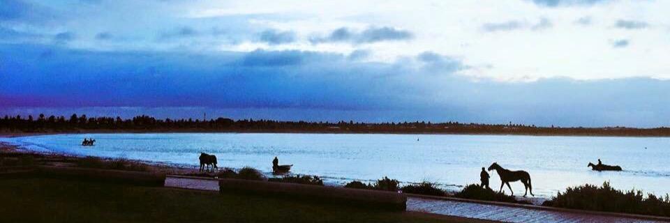 TheRealGG09's profile banner image