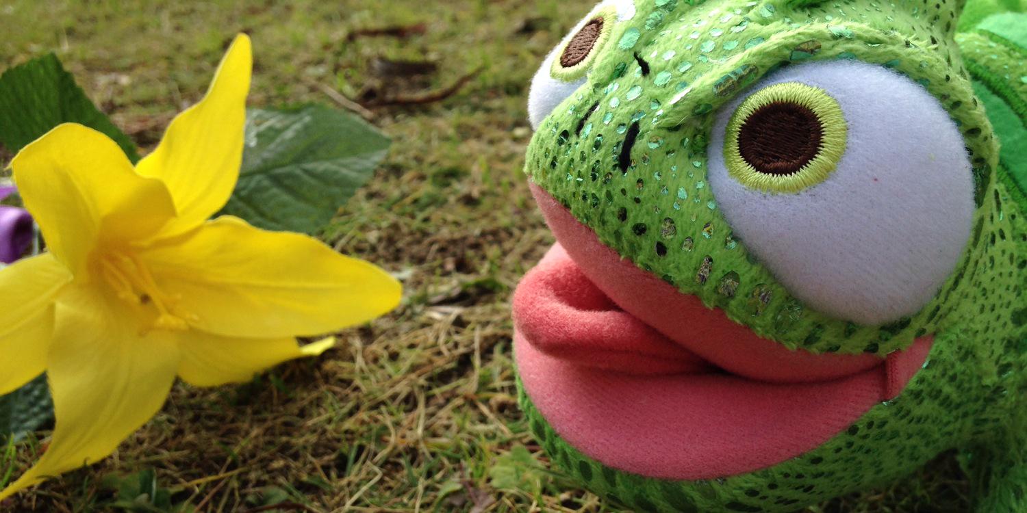 _R_rururu's profile banner image