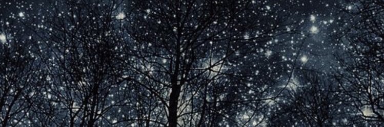 kduncker's profile banner image