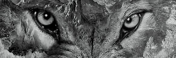 jayl3n__'s profile banner image