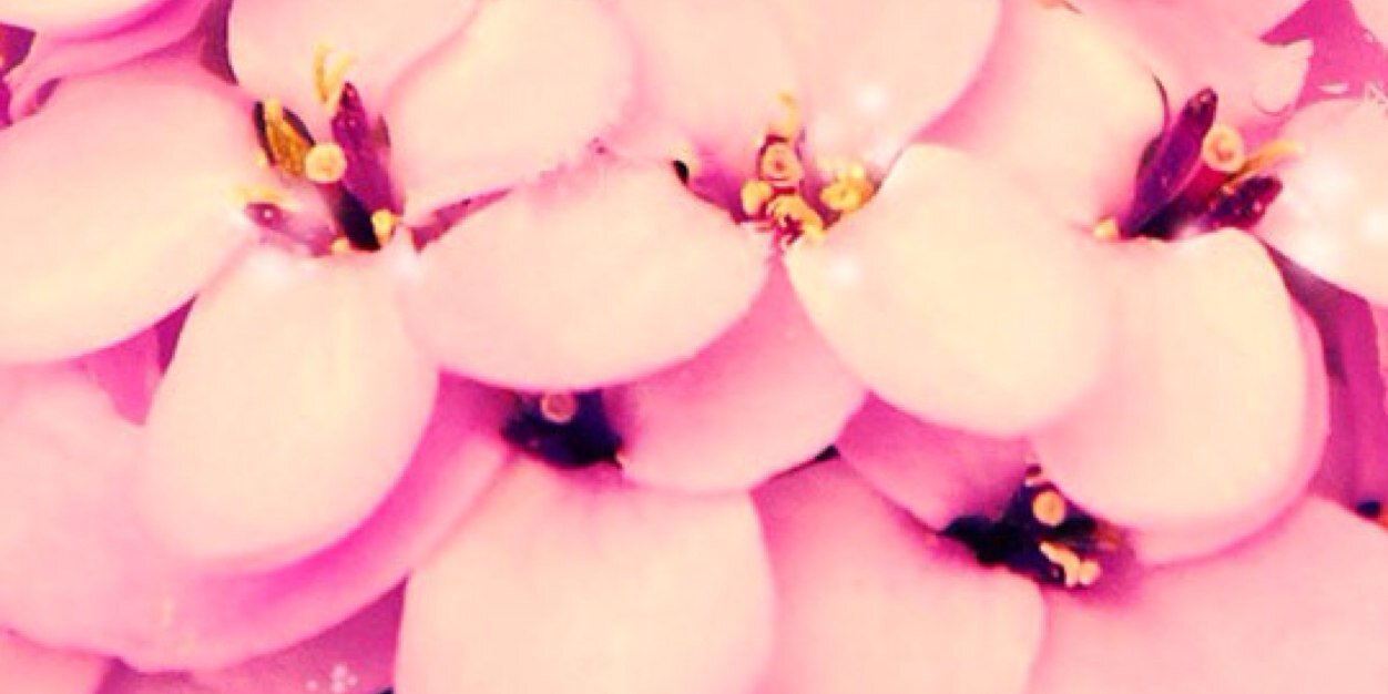 franprincess89's profile banner image