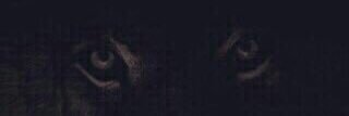 7_mjdan's profile banner image