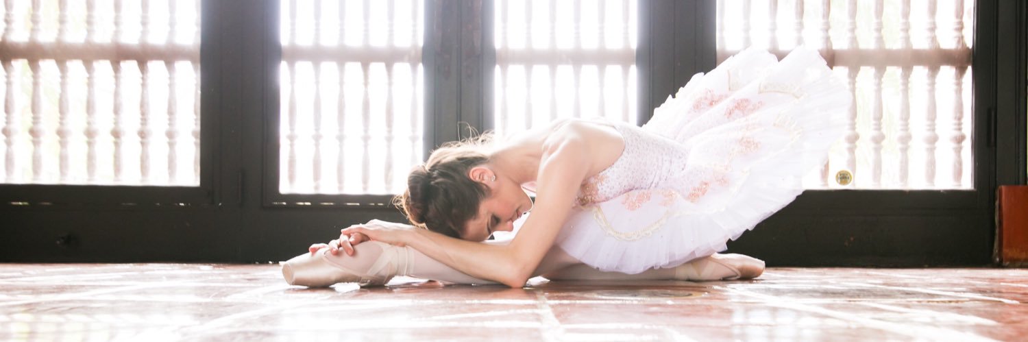 Tiffany B banner