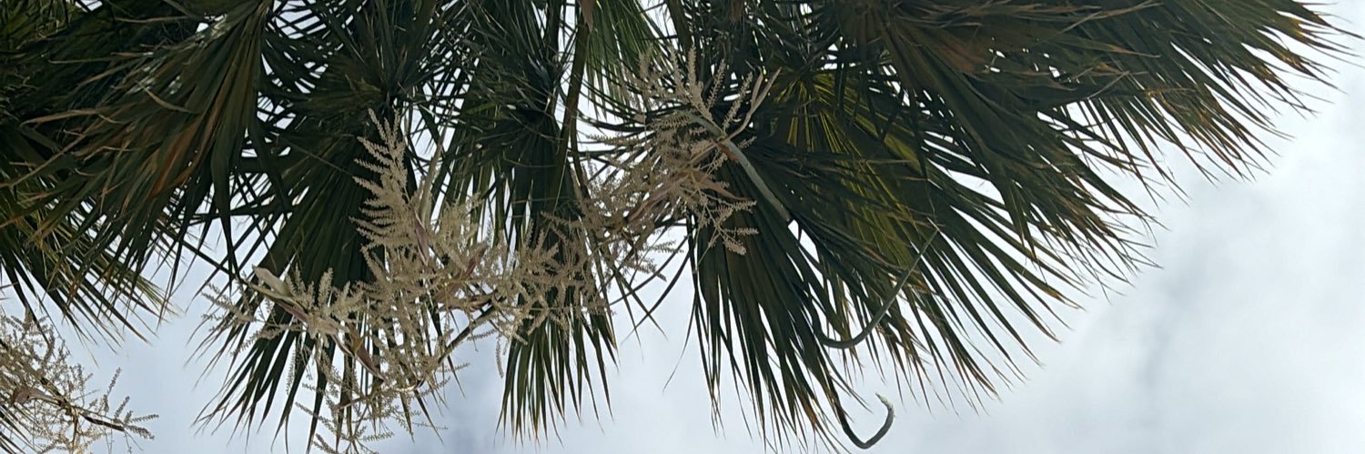Andy banner