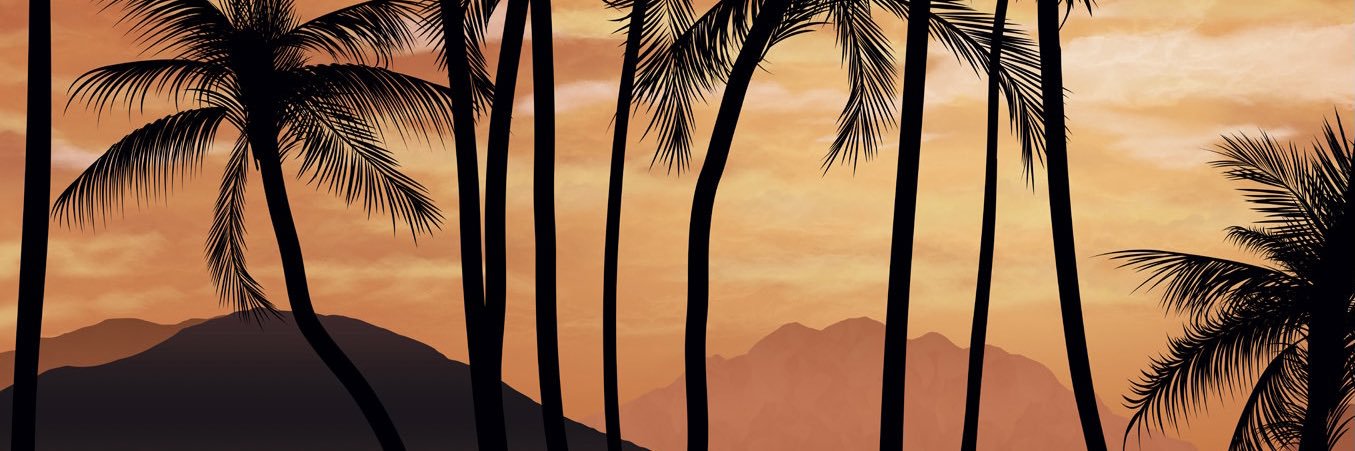 WikelRyan's profile banner image