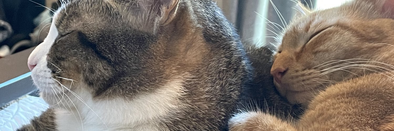CarsonLeigh's profile banner image