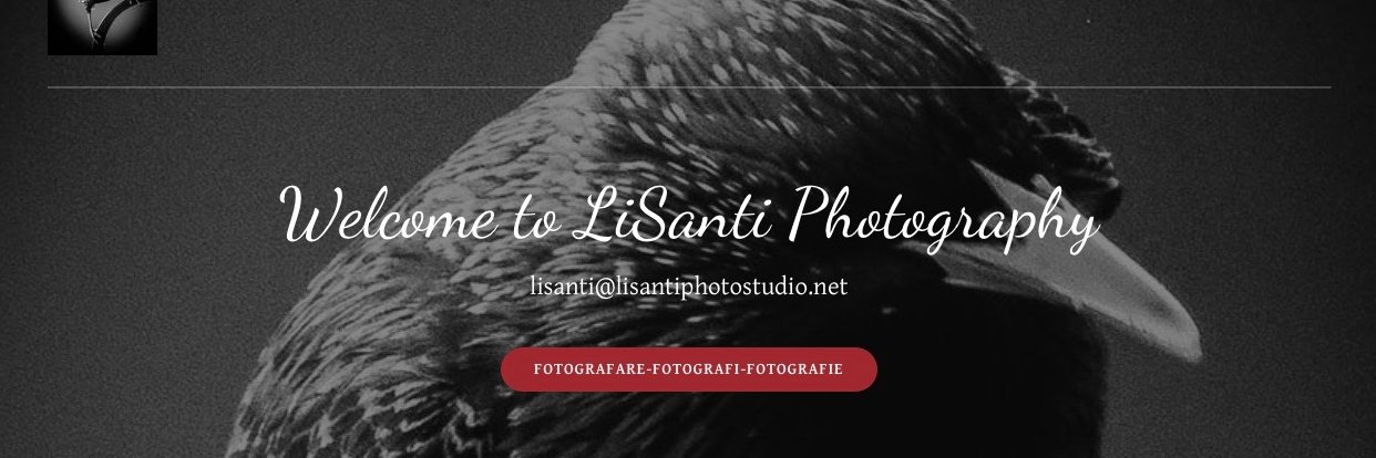 lisantiphotos's profile banner image