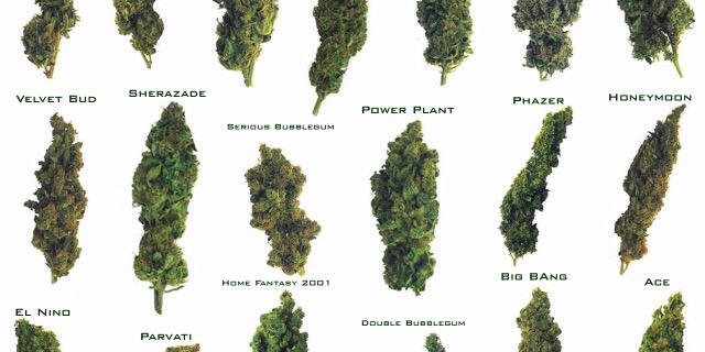 420review's profile banner image