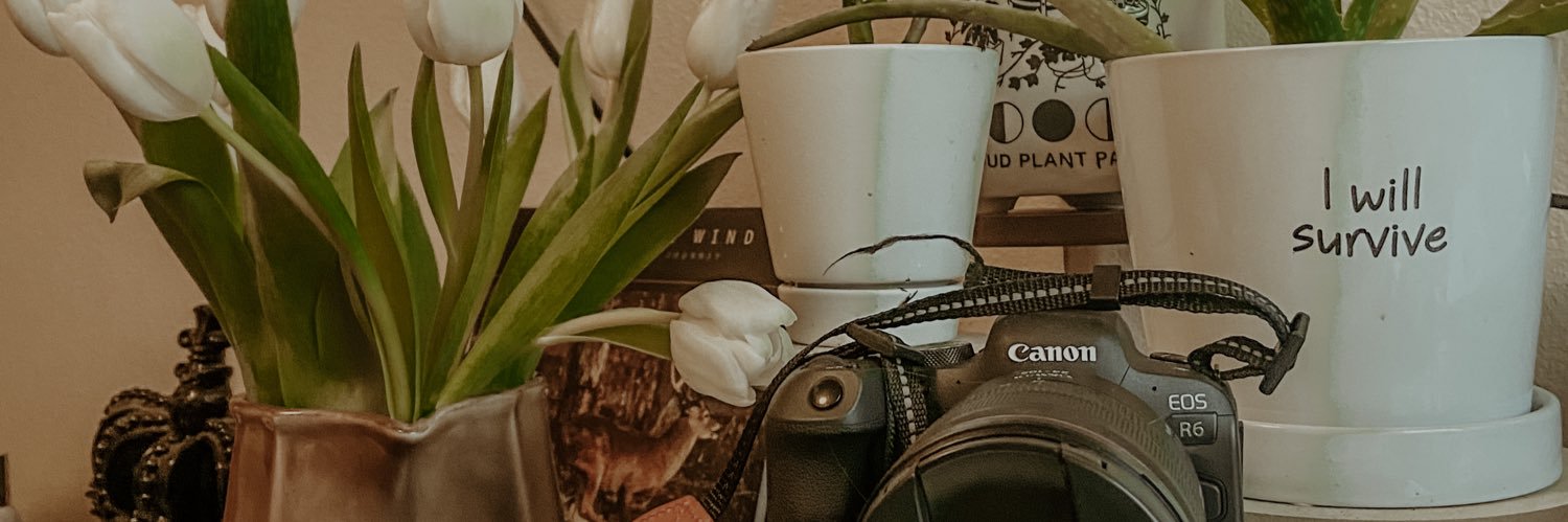 allysond__'s profile banner image