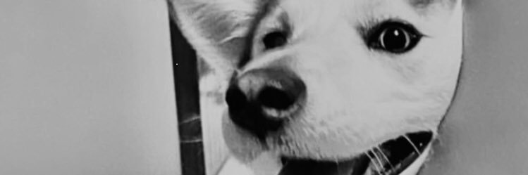 AleejandroRamon's profile banner image