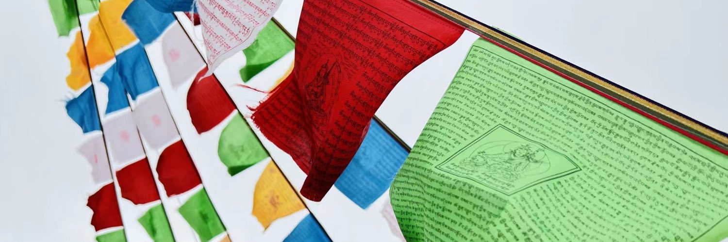 洛瑾 banner