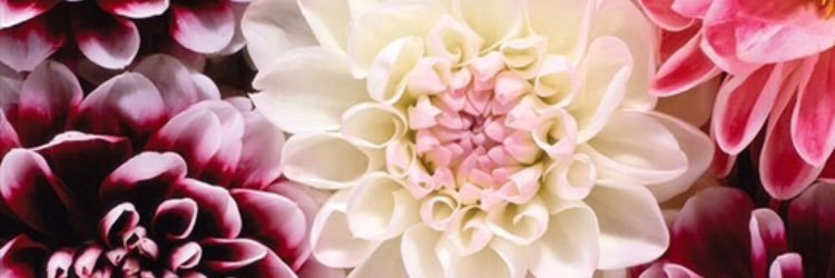 KKing181's profile banner image