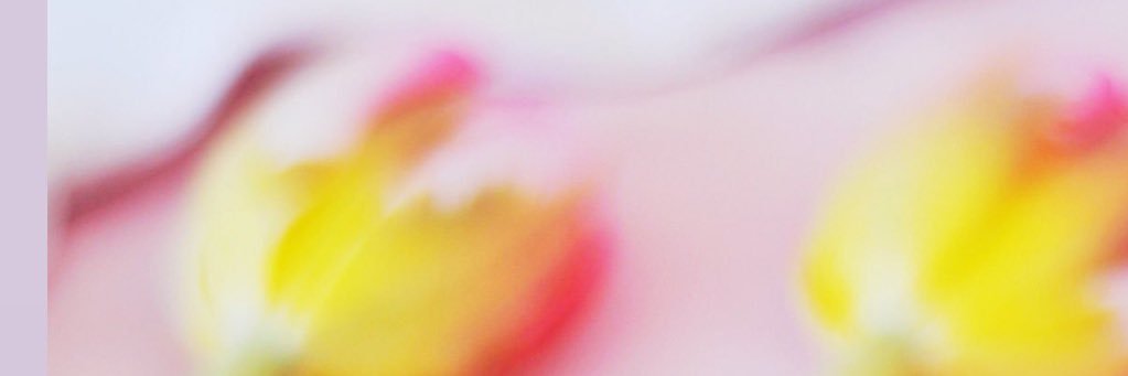 _SMILOOH's profile banner image
