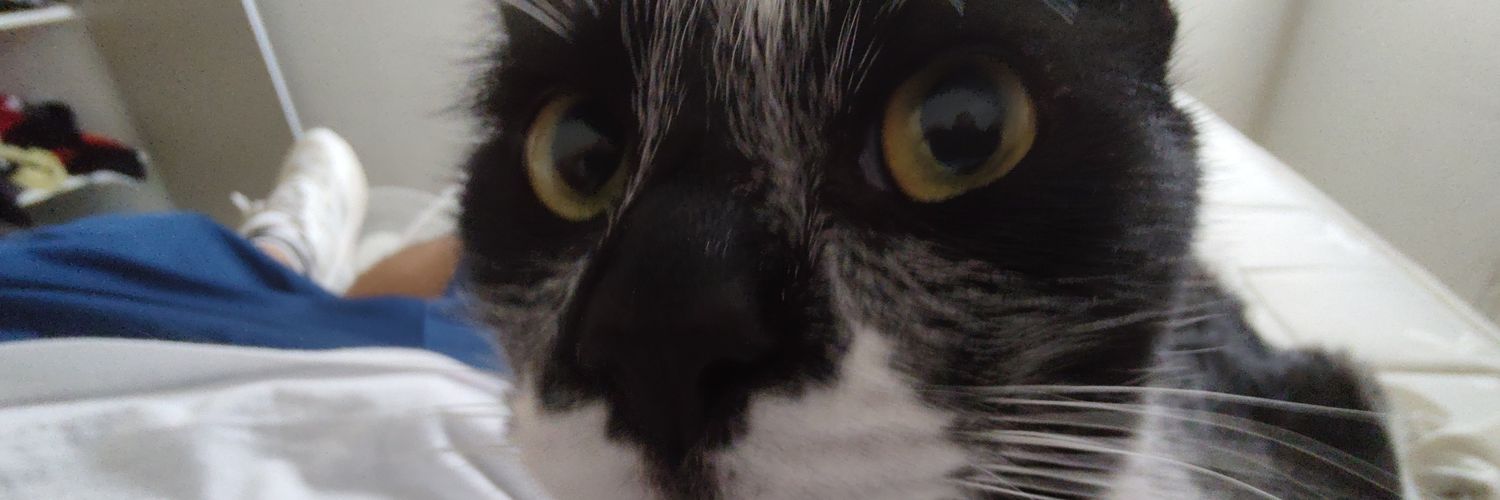 LeanMonzon14's profile banner image