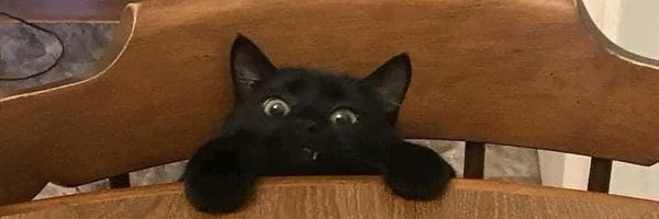 ALLEPACA Profile Banner