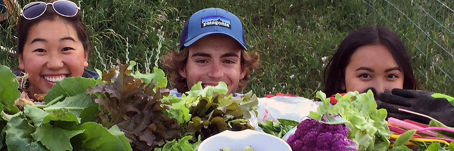 PSDInterns's profile banner image