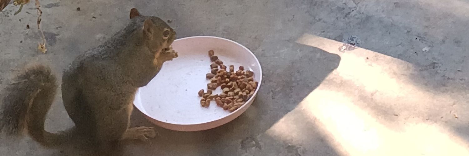 jackietry42's profile banner image