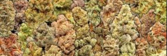dank710's profile banner image