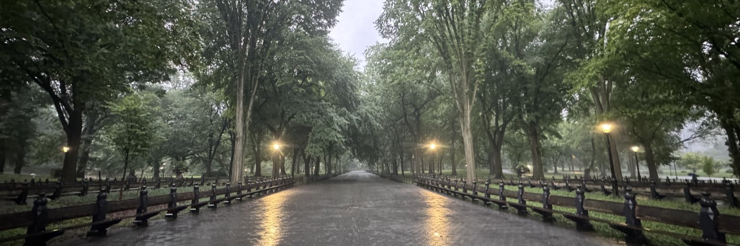 shinuan's profile banner image