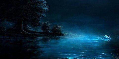 kizzleriddle's profile banner image