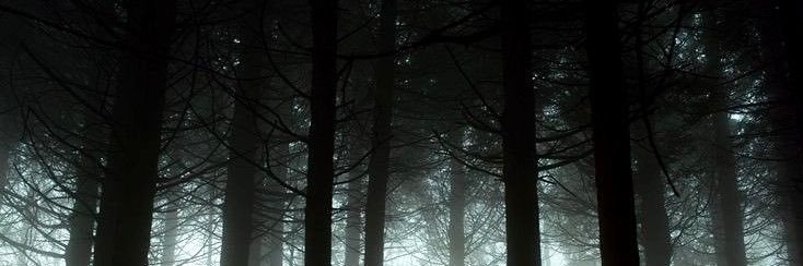 ii_jr_'s profile banner image