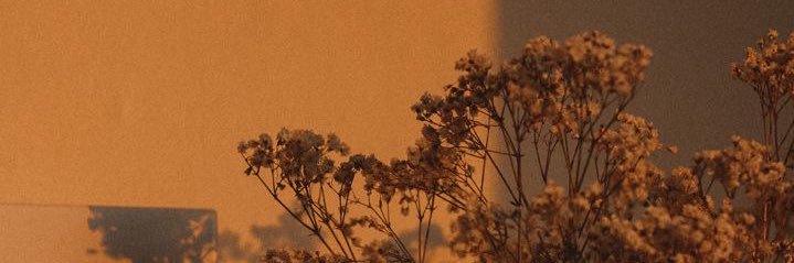marialeonora95's profile banner image