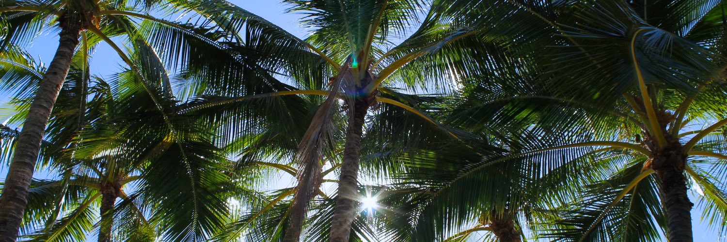 NaturalVibeCo's profile banner image